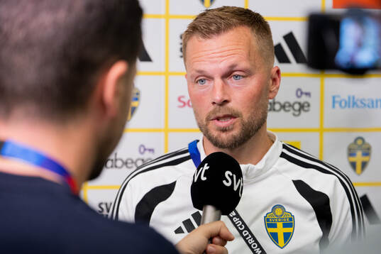Assistant coach Sebastian Larsson of the Swedish men's