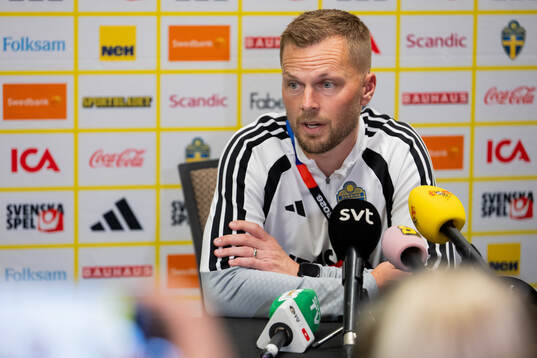 Assistant coach Sebastian Larsson of the Swedish men's
