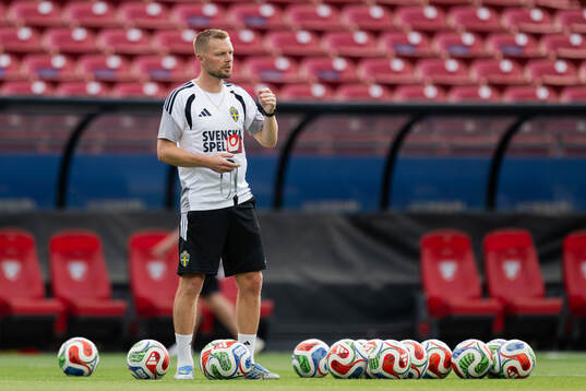 Assistant coach Sebastian Larsson of the Swedish national