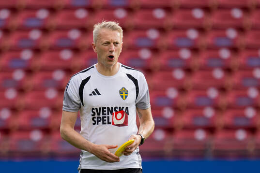 Performance manager Niklas Egnell of the Swedish national