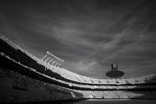 An infrared camera in combination with on-camera filter was