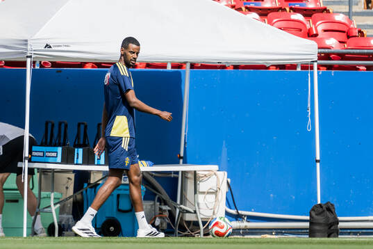 Alexander Isak of the Swedish national football team at a