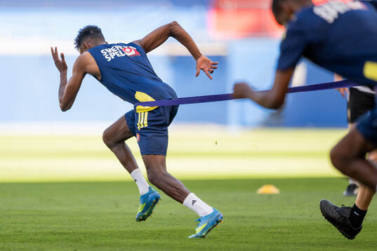 Taha Ali of the Swedish national football team at a