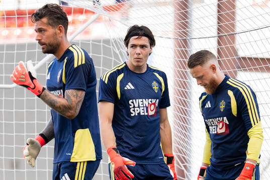 Goalkeeper Kristoffer Nordfeldt, goalkeeper Jacob Widell
