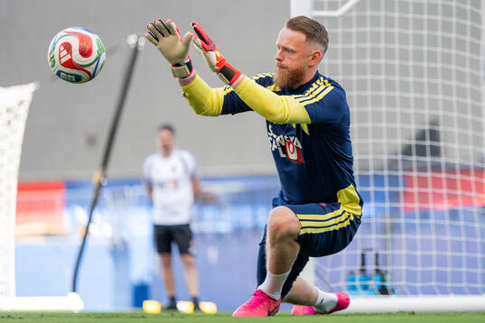 Goalkeeper Viktor Johansson of the Swedish national