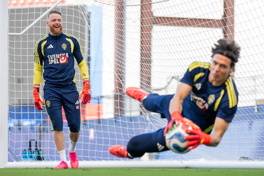 Goalkeeper Viktor Johansson and goalkeeper Jacob Widell