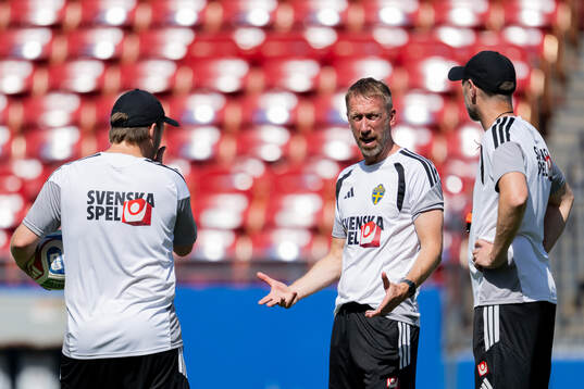 Head coach Graham Potter of the Swedish national football