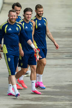 Goalkeeper Viktor Johansson, Hjalmar Ekdal, Mattias