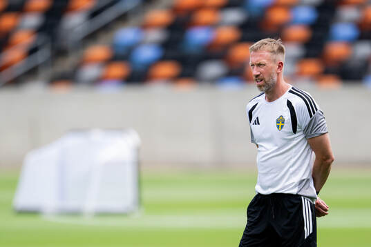 Head coach Graham Potter of the Swedish national football