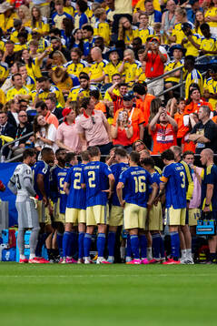 Players of Sweden