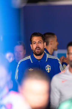 Goalkeeper Kristoffer Nordfeldt of Sweden