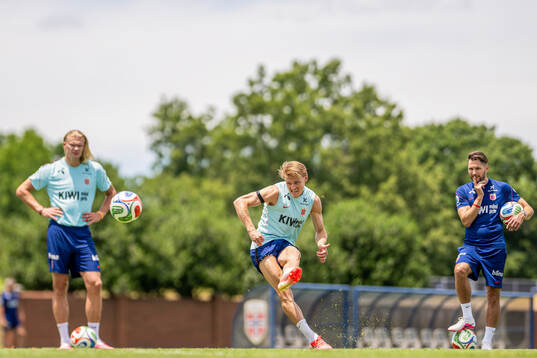 Erling Braut Haaland, Martin Ødegaard and physio Magnus