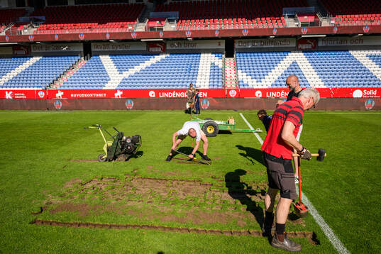 Personal från Helsingborg stad tar upp grästuvor från