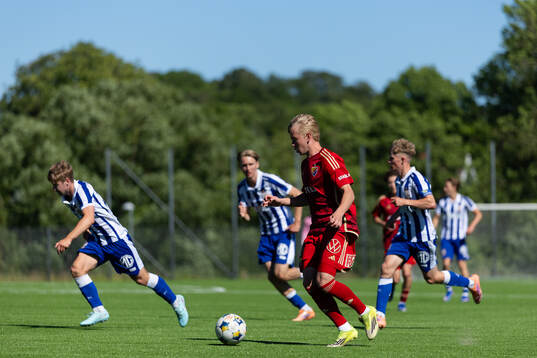 Djurgårdens Carl Selfvén