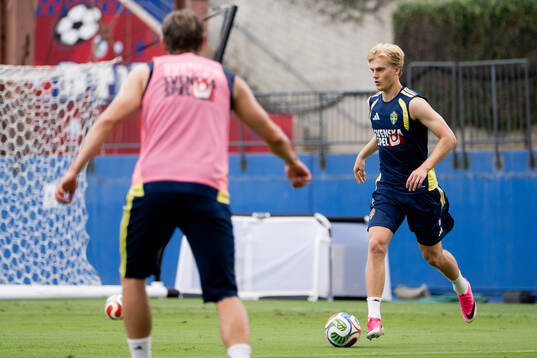 Lucas Bergvall of the Swedish national football team at a