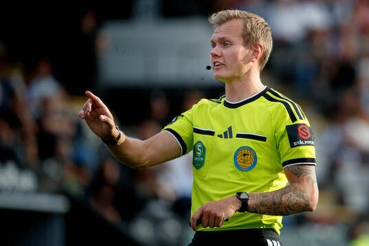 Domare Fredrik Alknäs