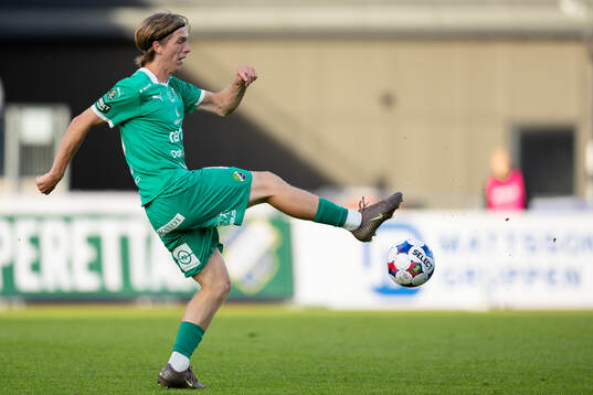 Ljungskiles David Frisk