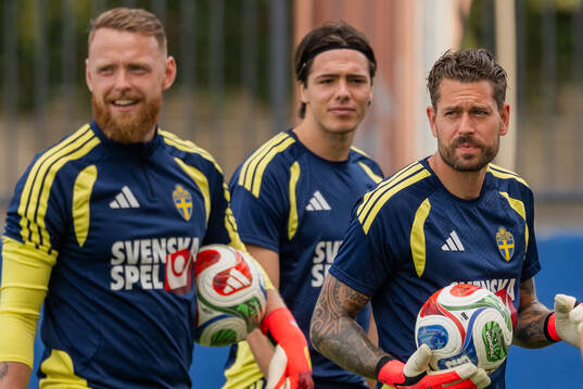 Goalkeeper Viktor Johansson, goalkeeper Jacob Widell