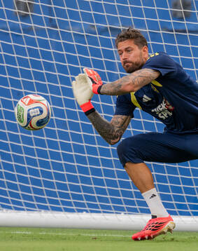 Goalkeeper Kristoffer Nordfeldt of the Swedish national