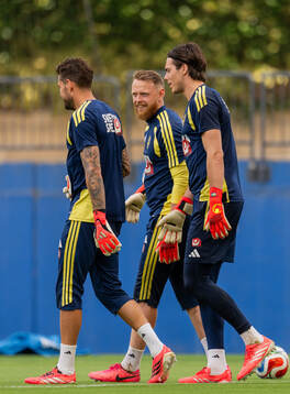 Goalkeeper Kristoffer Nordfeldt, goalkeeper Viktor