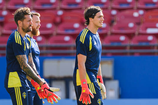 Goalkeeper Kristoffer Nordfeldt, goalkeeper Viktor