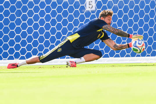 Goalkeeper Kristoffer Nordfeldt of the Swedish national