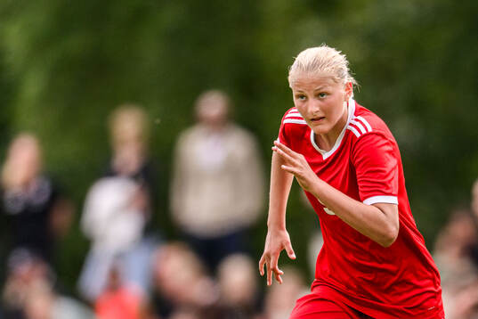 s riksläger för F11