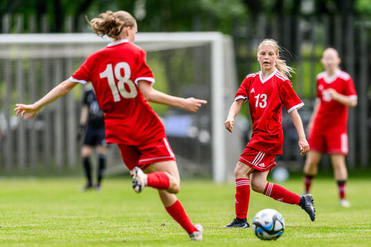 s riksläger för F11