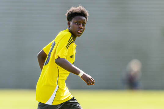 Sharon Njeki Tuvesson, Hammarby IF FF
