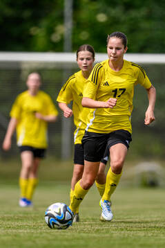 Ellen Maiquez, Hammarby IF FF