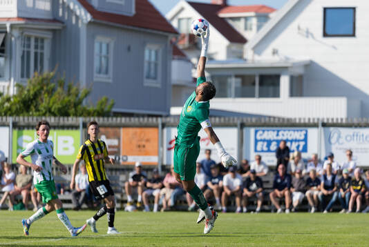 Hammarbys målvakt Warner Hahn