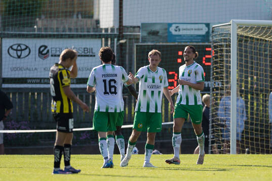 Hammarbys Victor Lind och Nikola Vasic jublar