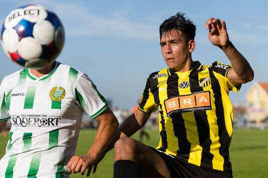 Häckens Danilo Al-Saed