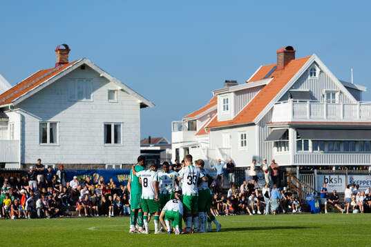 Hammarbys spelare samlade