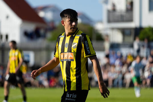 Häckens Danilo Al-Saed