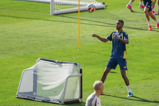 Alexander Isak of the Swedish national football team at a