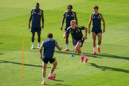 Herman Johansson of the Swedish national football team at a