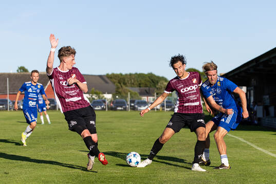 Galtabäcks Hampus Danielsson, Diellon Mitrovicaliu och