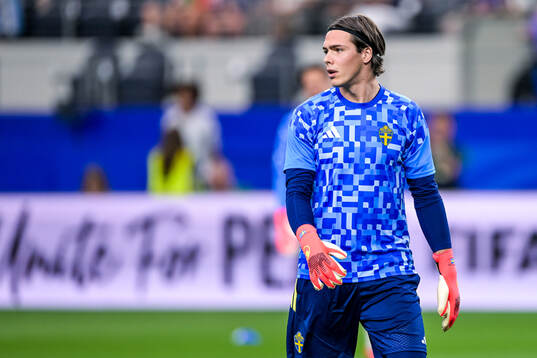 goalkeeper Jacob Widell Zetterström of Sweden