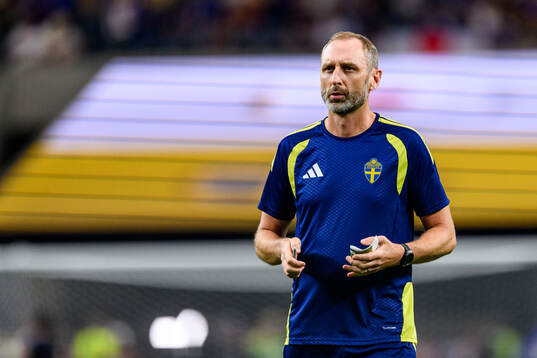 Assistant coach Andreas Georgson of Sweden