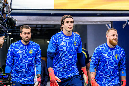 Goalkeeper Kristoffer Nordfeldt, goalkeeper Jacob Widell