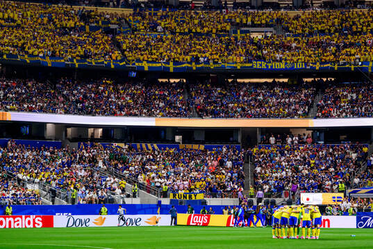 Players of Sweden