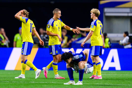 Gustaf Lagerbielke and Lucas Bergvall of Sweden