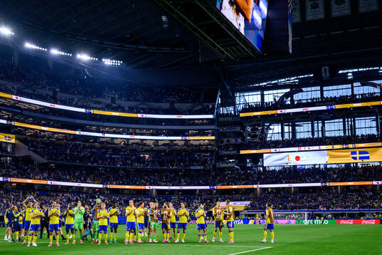 Players of Sweden