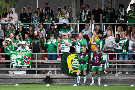 Hammarbys supportrar