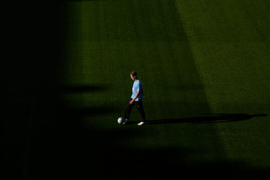 Malmö FFs Diego Garcia