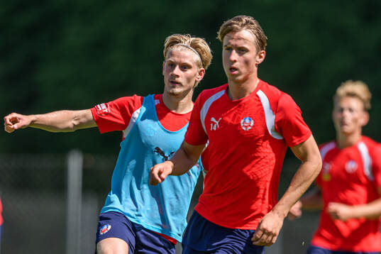 Leo Hedenberg
