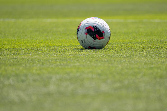 En fotboll