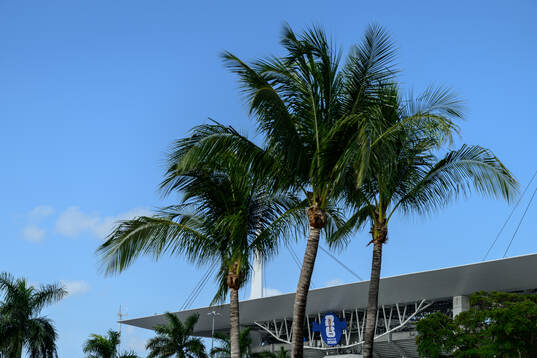 General view of Miami Stadium