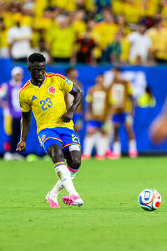 Davinson Sanchez of Colombia